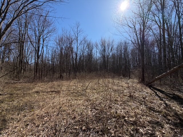 West Somerset Road South Appleton, NY 14008 - Photo 4 of 27