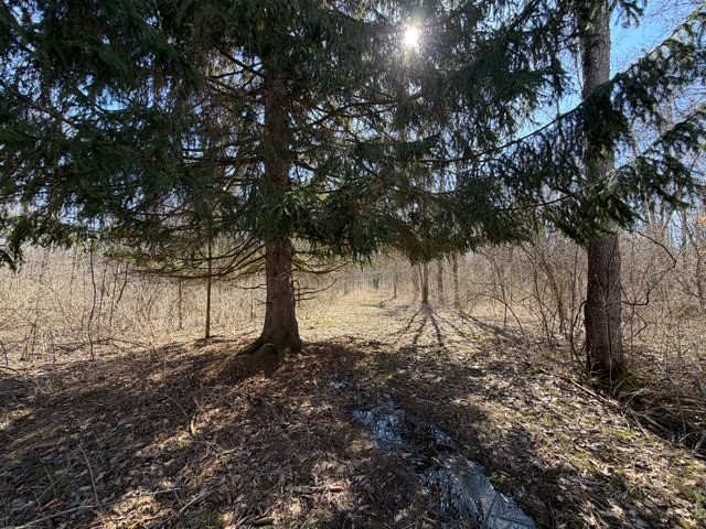 West Somerset Road South Appleton, NY 14008 - Photo 6 of 27