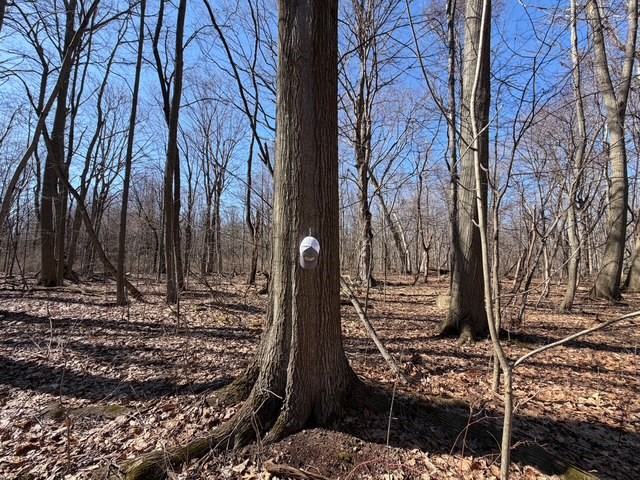 West Somerset Road South Appleton, NY 14008 - Photo 7 of 27