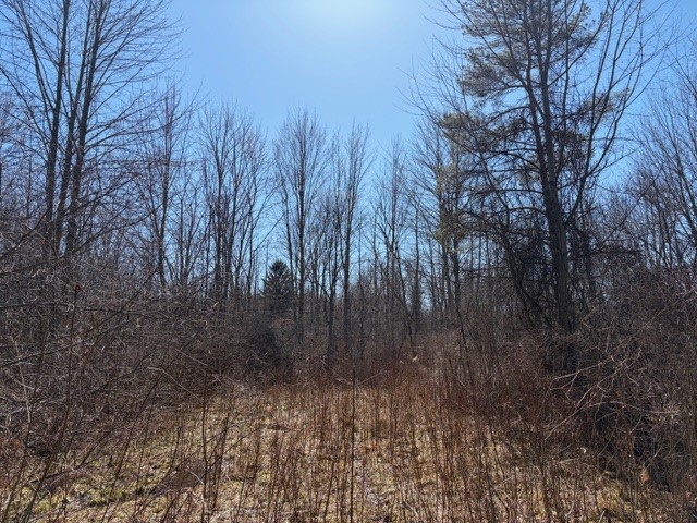 West Somerset Road South Appleton, NY 14008 - Photo 9 of 27