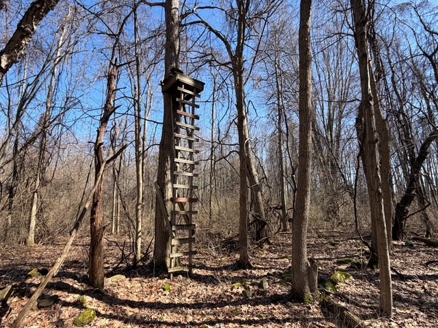 West Somerset Road South Appleton, NY 14008 - Photo 10 of 27