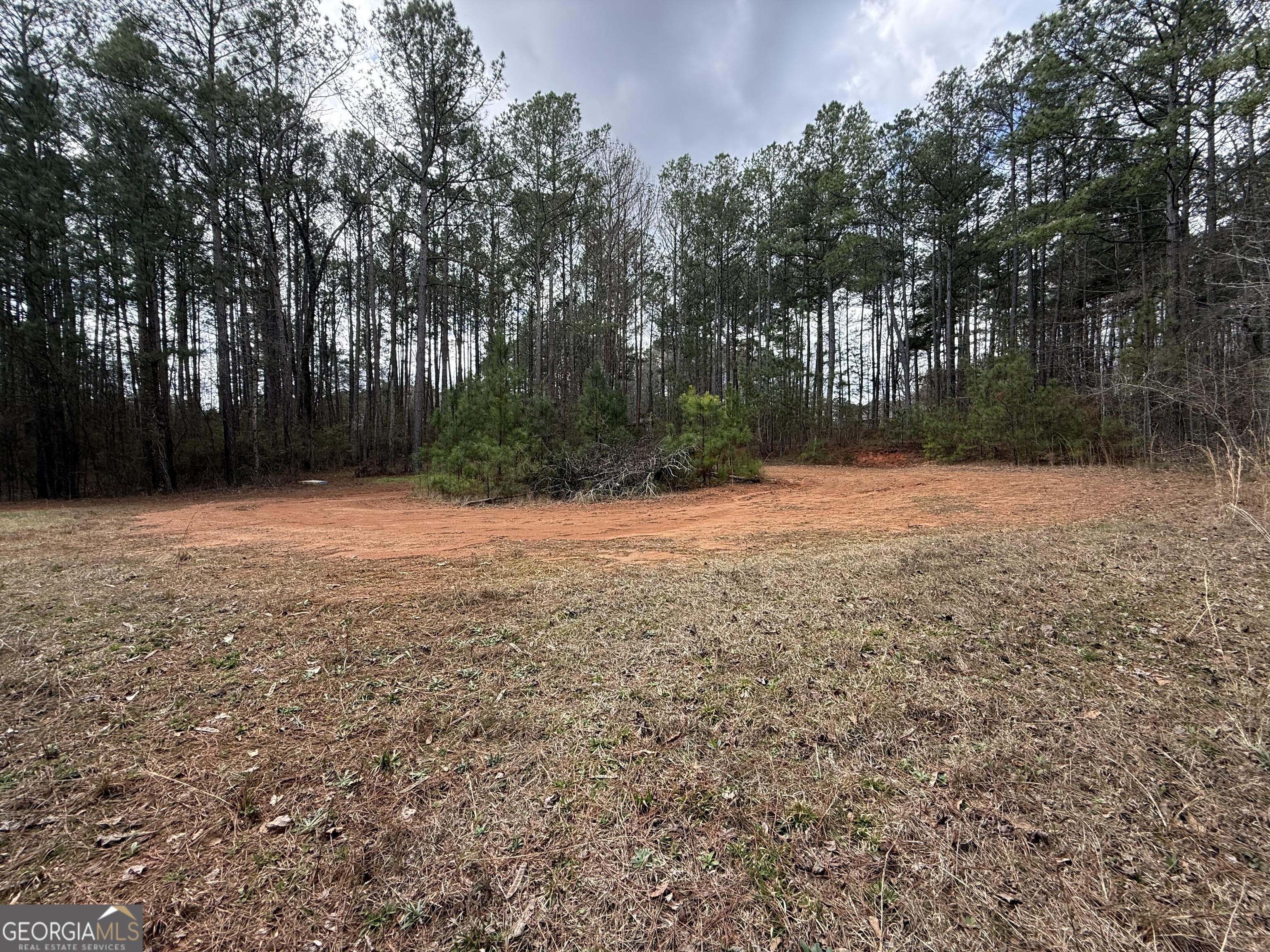 0 Lowery Road Grantville, GA 30220 - Photo 11 of 11 Clearing