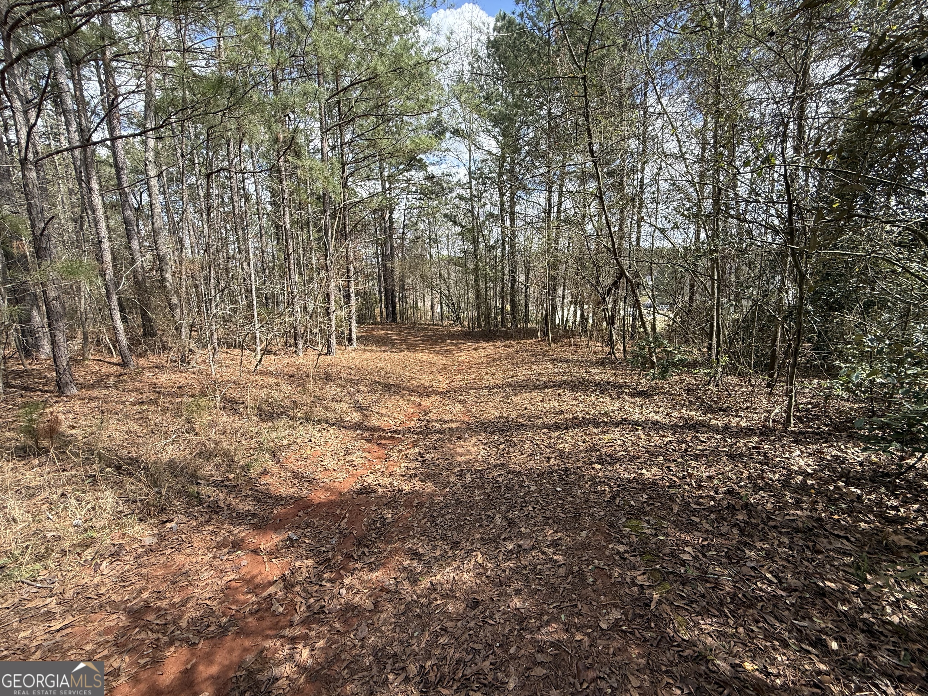 0 Lowery Road Grantville, GA 30220 - Photo 6 of 11