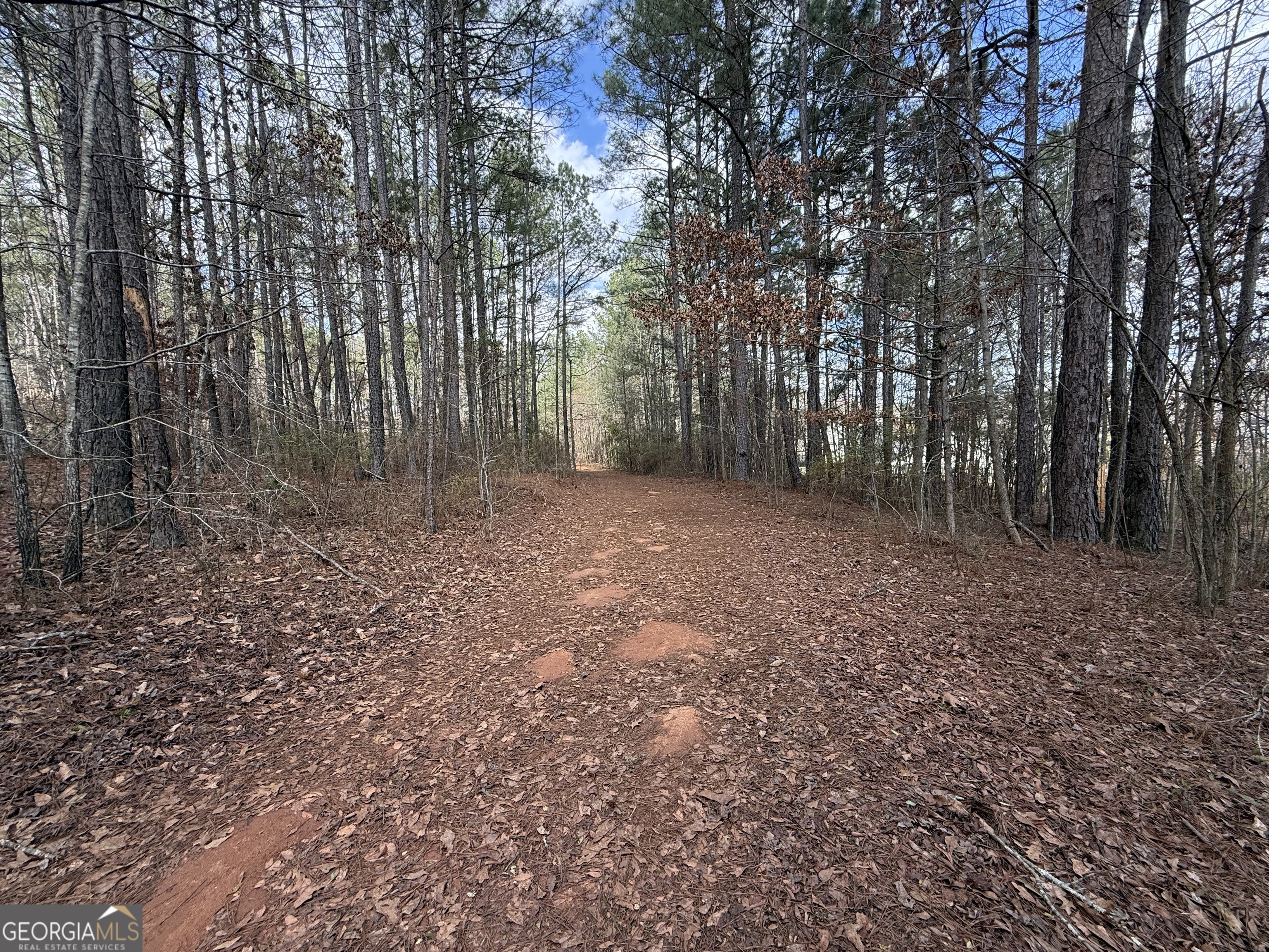 0 Lowery Road Grantville, GA 30220 - Photo 7 of 11 Around 2nd Turn