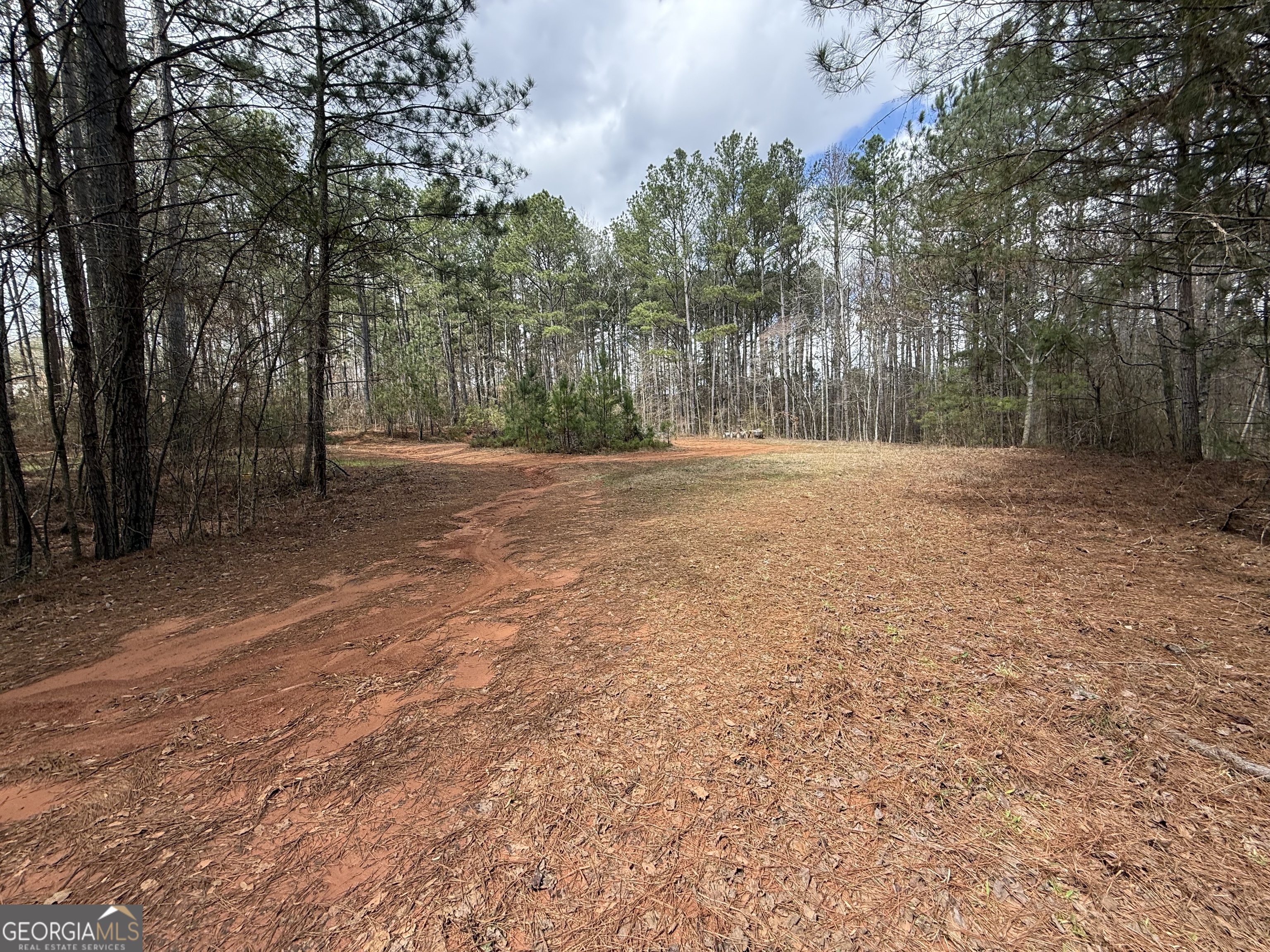 0 Lowery Road Grantville, GA 30220 - Photo 8 of 11 Back to Clearing