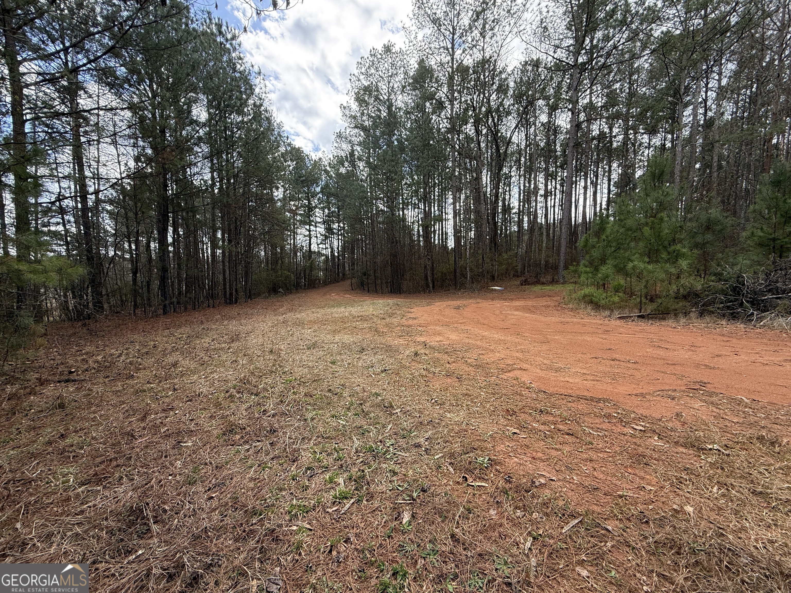 0 Lowery Road Grantville, GA 30220 - Photo 10 of 11 Looking Back toward the Rd