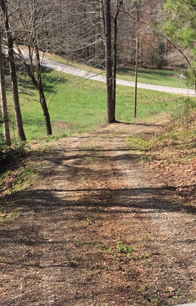 700 Grape Creek Road Murphy, NC 28906 - Photo 12 of 15 Driveway approach from state maintained rd