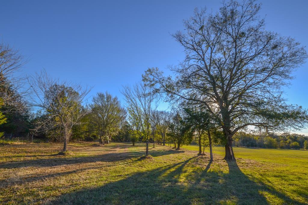 13612 County Road 3900 Athens, TX 75752 - Photo 31 of 40 a view of an outdoor space with a lake view