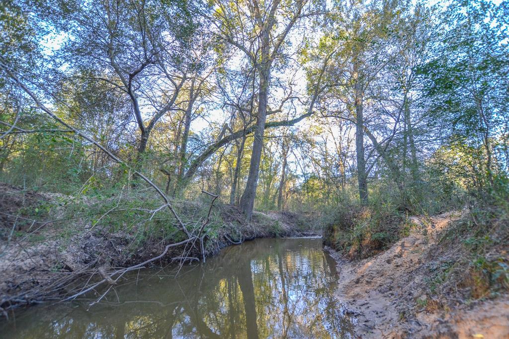 13612 County Road 3900 Athens, TX 75752 - Photo 34 of 40 a view of lake with green space