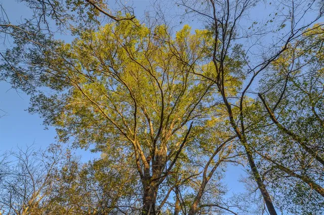 a view of a tennis court
