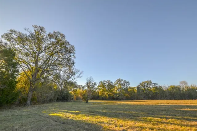 a view of an ocean from a yard