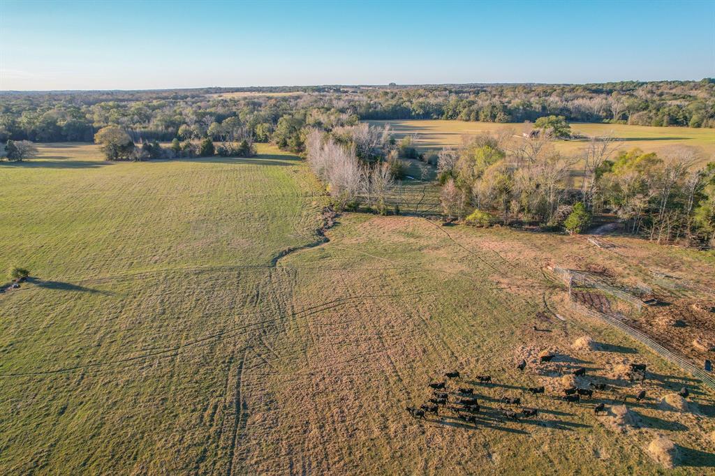 13612 County Road 3900 Athens, TX 75752 - Photo 6 of 40 a view of a lake view