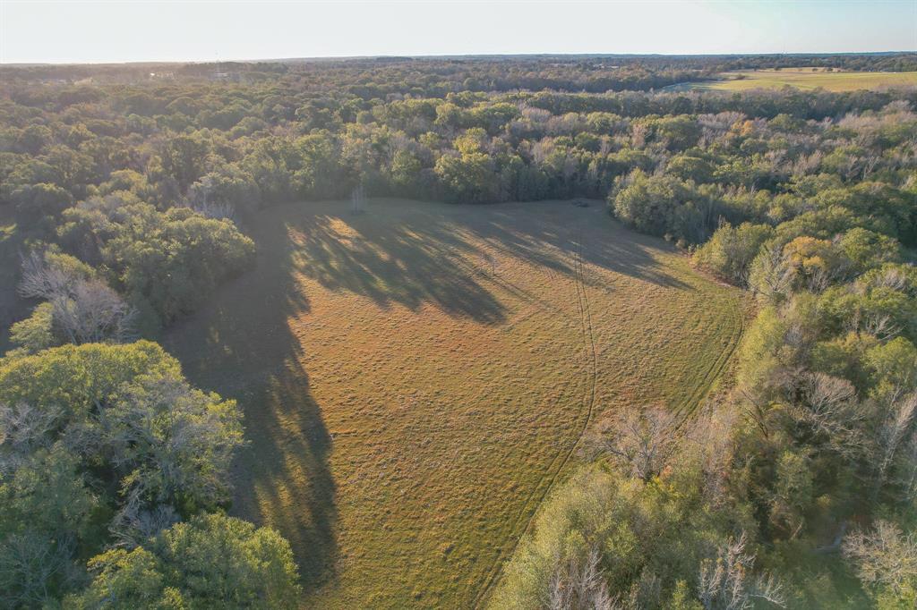 13612 County Road 3900 Athens, TX 75752 - Photo 7 of 40 a view of lake
