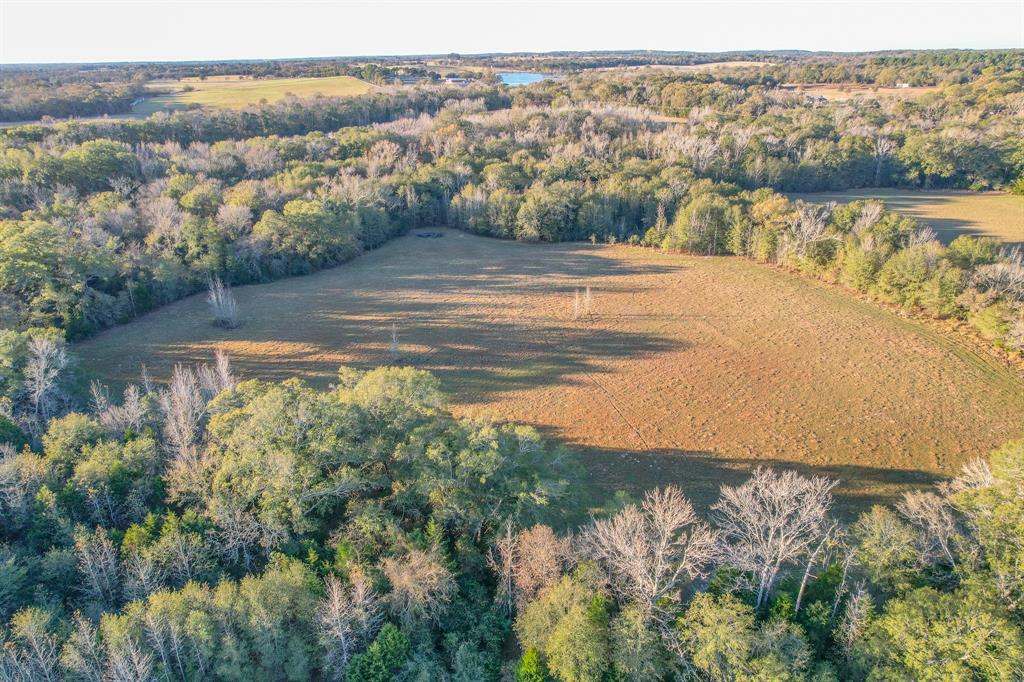 13612 County Road 3900 Athens, TX 75752 - Photo 9 of 40 a view of lake view and mountain view