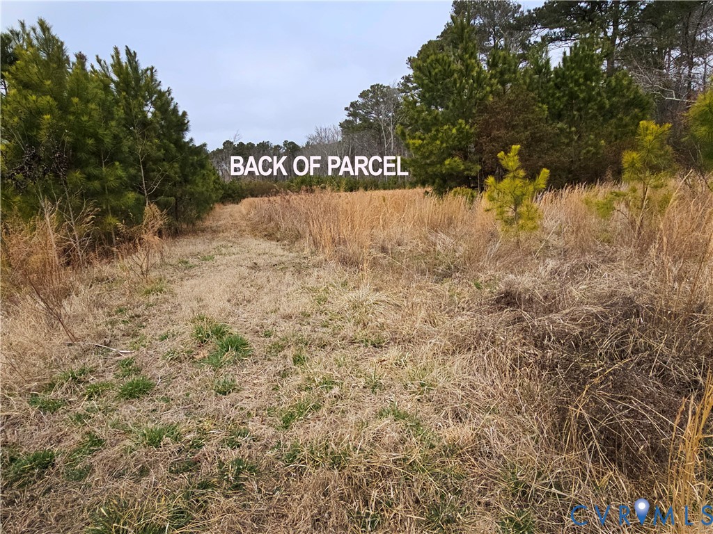 3066 Bethel Beach Road Onemo, VA 23130 - Photo 26 of 45