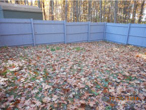 417 Middle Road Dover, NH 03820 - Photo 8 of 8