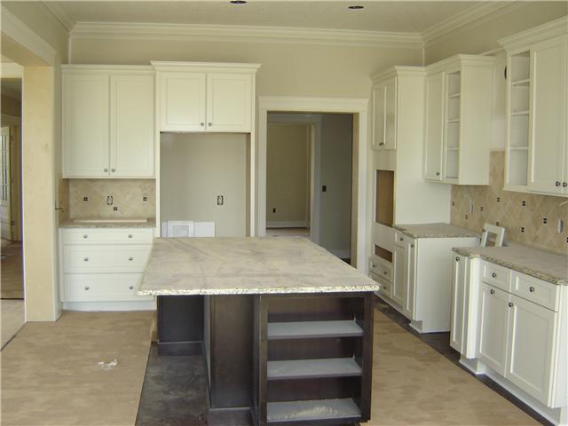 1133 Rambling Brook Way Delaware, OH 43015 - Photo 4 of 9 Gallery Image 4