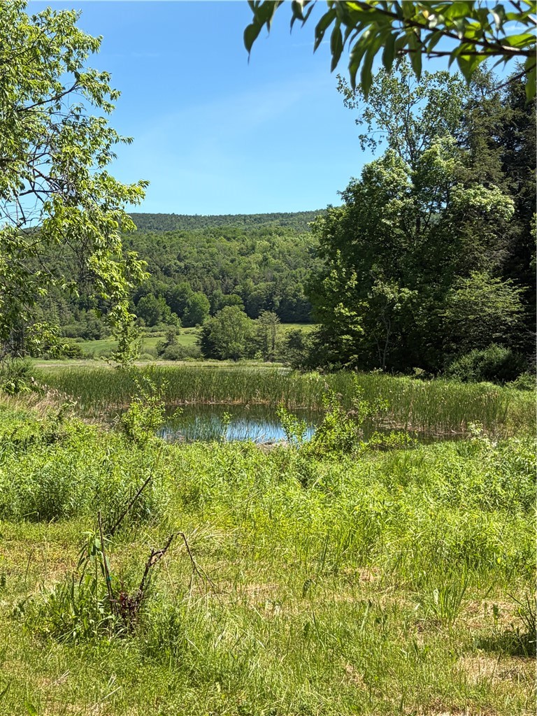 548 Shew Hollow Road Gilboa, NY 12167 - Photo 13 of 17
