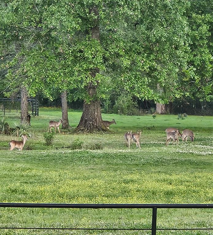 2675 Swan Lake Road Bossier City, LA 71111 - Photo 40 of 40