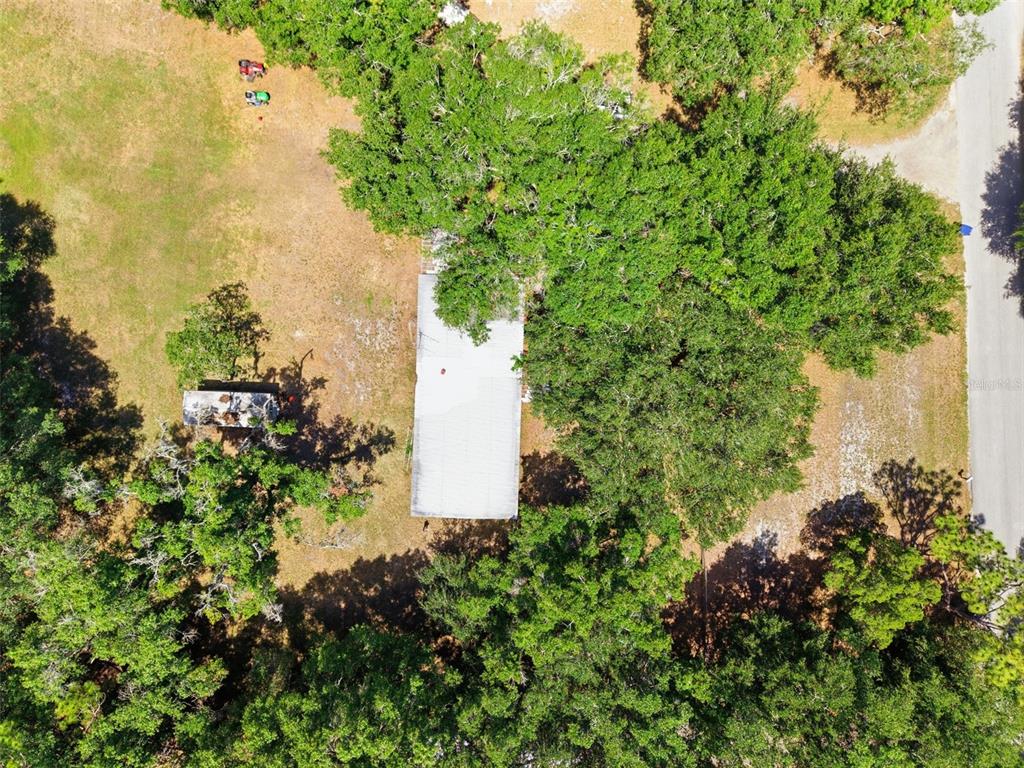 17214 Chinaberry Road Lutz, FL 33558 - Photo 4 of 17
