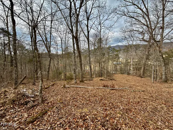 $212,000 | 25-ac Horton Highway, Unit 9, Chuckey, TN 37641