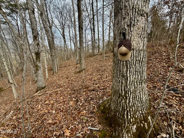 $212,000 | 25-ac Horton Highway, Unit 9, Chuckey, TN 37641