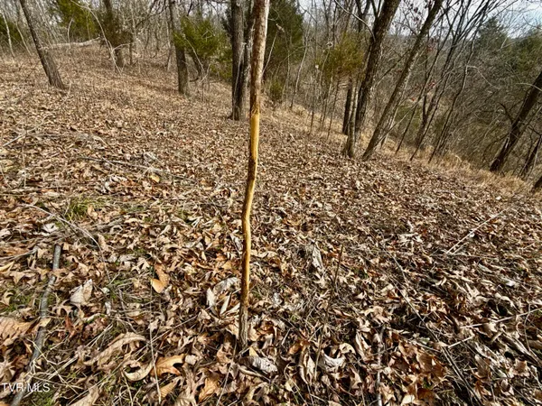 $212,000 | 25-ac Horton Highway, Unit 9, Chuckey, TN 37641