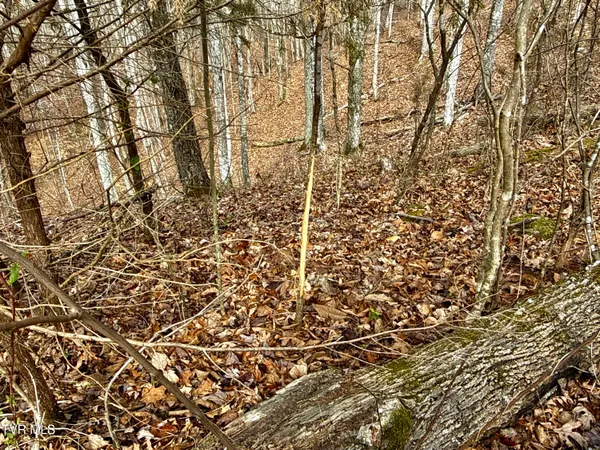 $212,000 | 25-ac Horton Highway, Unit 9, Chuckey, TN 37641