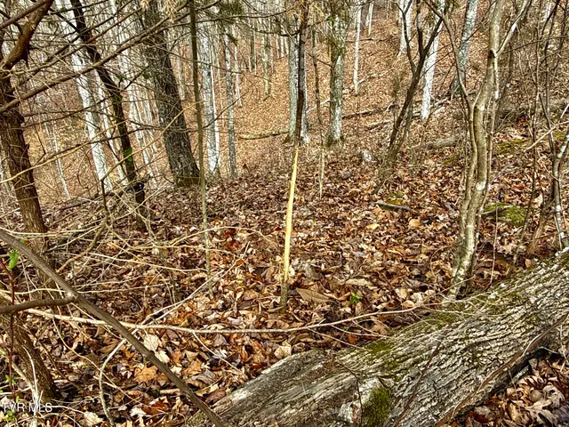 $212,000 | 25-ac Horton Highway, Unit 9, Chuckey, TN 37641