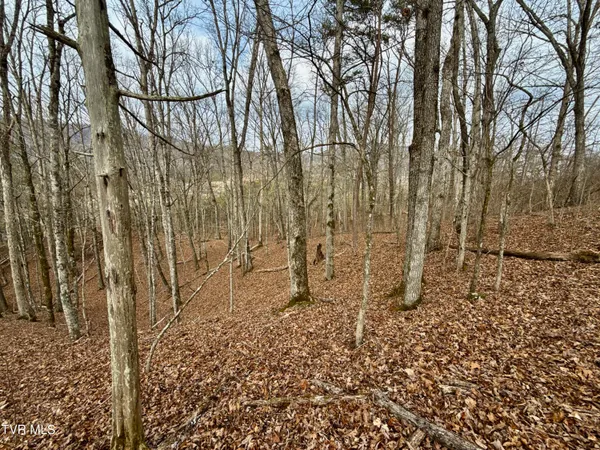 $212,000 | 25-ac Horton Highway, Unit 9, Chuckey, TN 37641