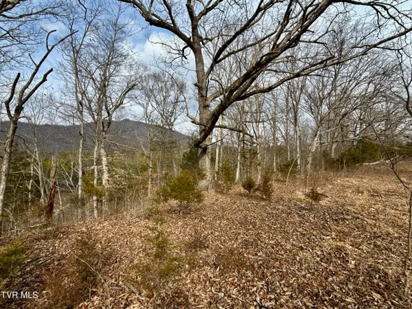 $212,000 | 25-ac Horton Highway, Unit 9, Chuckey, TN 37641