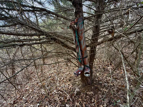 $212,000 | 25-ac Horton Highway, Unit 9, Chuckey, TN 37641