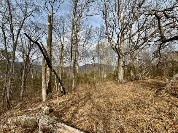 $212,000 | 25-ac Horton Highway, Unit 9, Chuckey, TN 37641