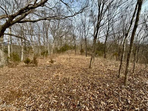 $212,000 | 25-ac Horton Highway, Unit 9, Chuckey, TN 37641