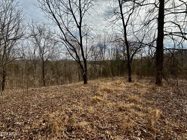 $212,000 | 25-ac Horton Highway, Unit 9, Chuckey, TN 37641