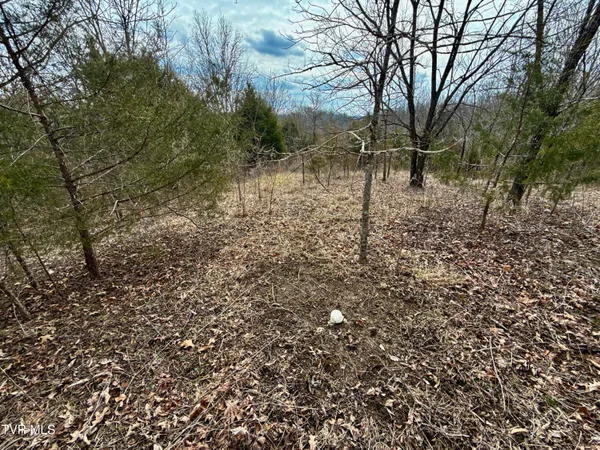 $212,000 | 25-ac Horton Highway, Unit 9, Chuckey, TN 37641