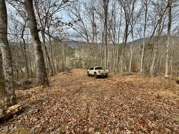 $212,000 | 25-ac Horton Highway, Unit 9, Chuckey, TN 37641