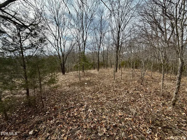 $212,000 | 25-ac Horton Highway, Unit 9, Chuckey, TN 37641