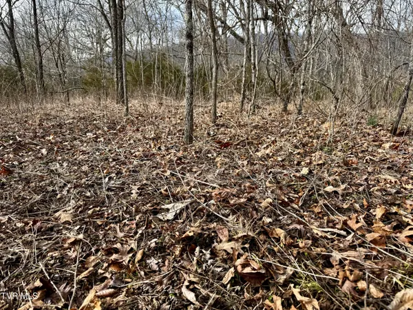 $212,000 | 25-ac Horton Highway, Unit 9, Chuckey, TN 37641