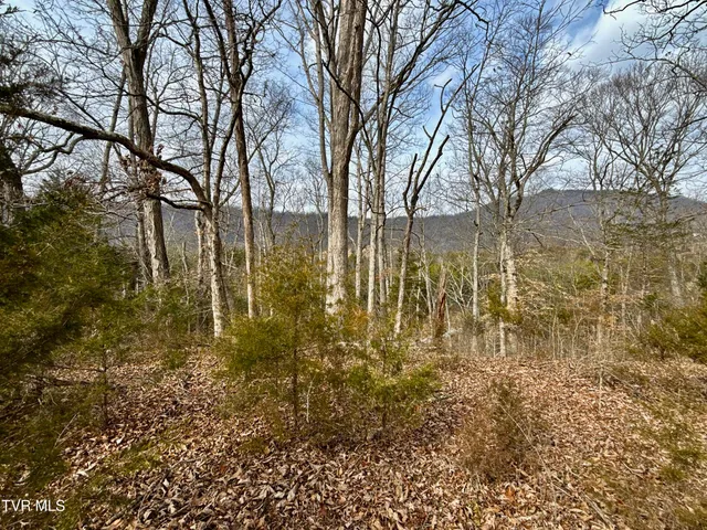 $212,000 | 25-ac Horton Highway, Unit 9, Chuckey, TN 37641