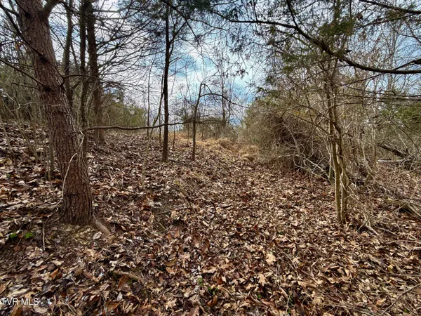 $212,000 | 25-ac Horton Highway, Unit 9, Chuckey, TN 37641