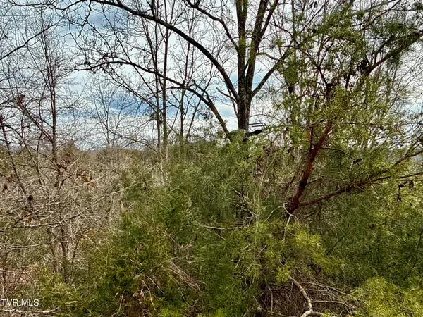 $212,000 | 25-ac Horton Highway, Unit 9, Chuckey, TN 37641