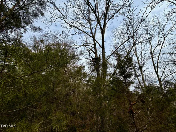 $212,000 | 25-ac Horton Highway, Unit 9, Chuckey, TN 37641