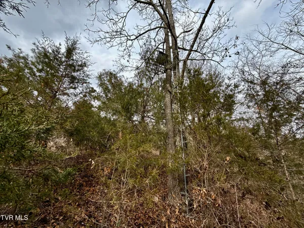 $212,000 | 25-ac Horton Highway, Unit 9, Chuckey, TN 37641