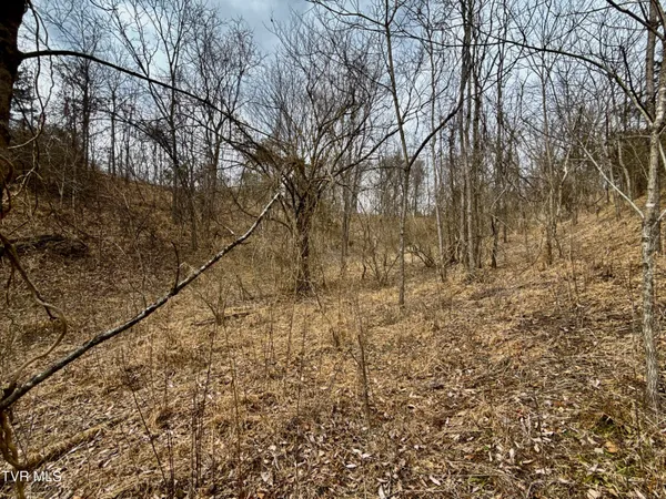 $212,000 | 25-ac Horton Highway, Unit 9, Chuckey, TN 37641