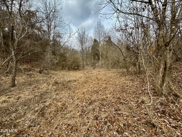$212,000 | 25-ac Horton Highway, Unit 9, Chuckey, TN 37641