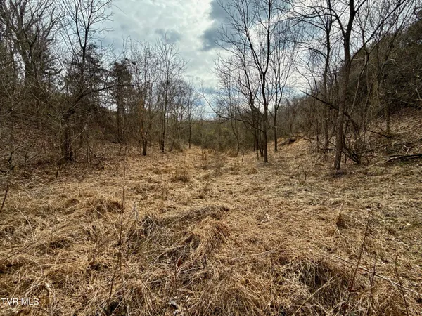 $212,000 | 25-ac Horton Highway, Unit 9, Chuckey, TN 37641