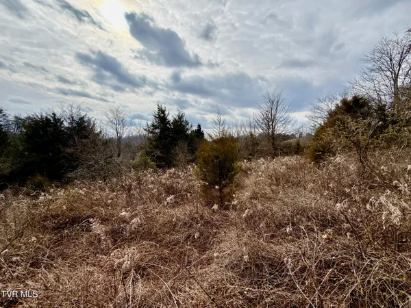 $212,000 | 25-ac Horton Highway, Unit 9, Chuckey, TN 37641