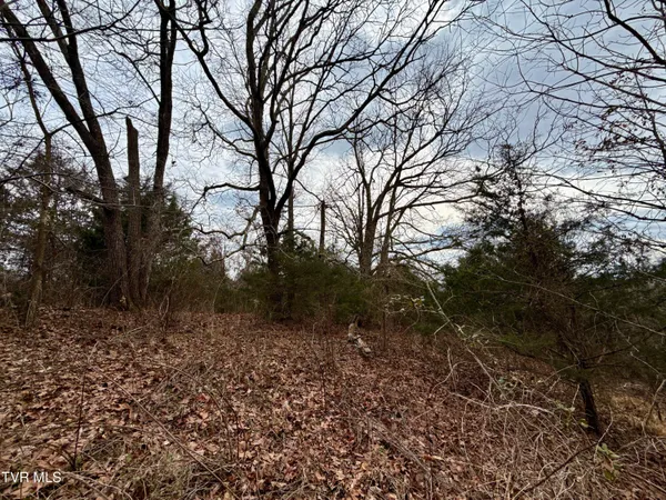 $212,000 | 25-ac Horton Highway, Unit 9, Chuckey, TN 37641