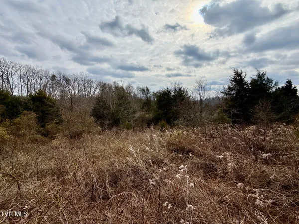 $212,000 | 25-ac Horton Highway, Unit 9, Chuckey, TN 37641